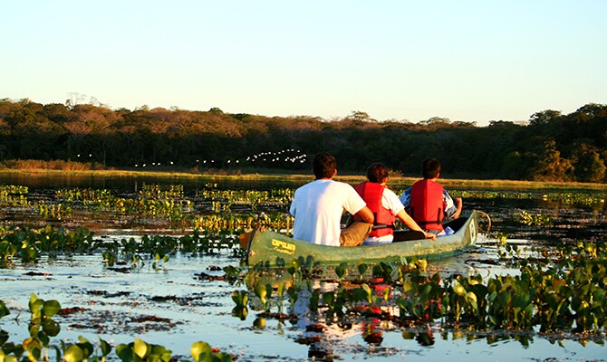 Passeios no Pantanal: 8 Lugares Que Vale a Pena Incluir no Roteiro