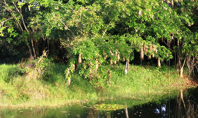 Alice Correia e Carolina Rodrigues, da Tam Viagens