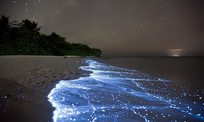 Mar brilhante é resultado de uma reação química natural - Foto: Doug Perrine