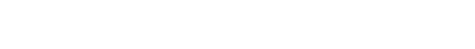 Logo next VOICES